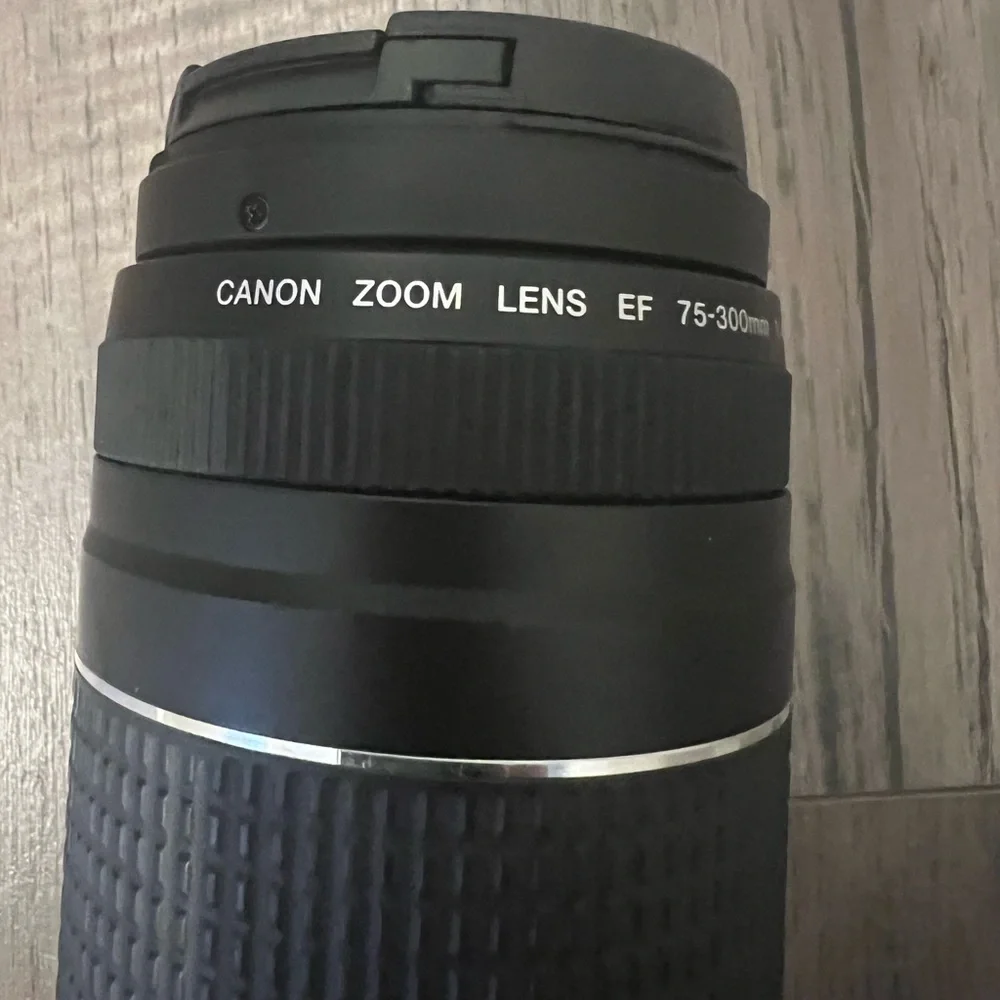 Canon Zoom Lens EF 75-300 mm 1:4-5.6
